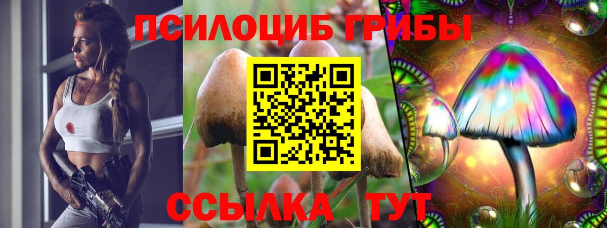 Лысьва  Галлюциногенные грибы прущие грибы  Вход с VPN 