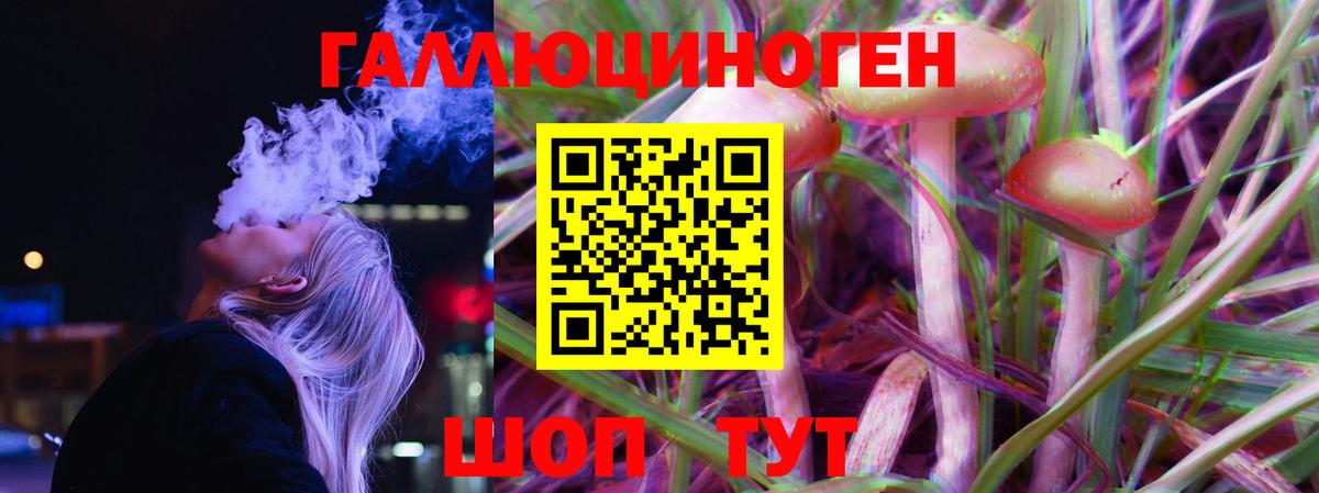 Псилоцибиновые грибы Psilocybe Лысьва